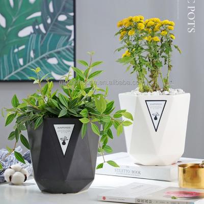 China Minimalist Indoor Plant Pot Covers Ceramic Plant Pots Bright Colorful Animal Ceramic Pots for sale