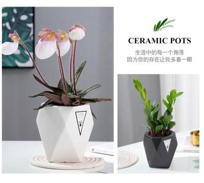 China Indoor Art Minimalist Italian Ceramic Ceramic Pots Kitchen Pots Decorative Flower Plant Pots for sale