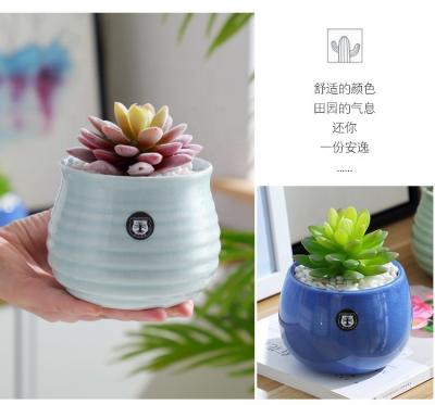 China Mini Flower Pot Minimalist Cheap Tableware Small Pot Colorful Home Decoration Flowerpot for sale