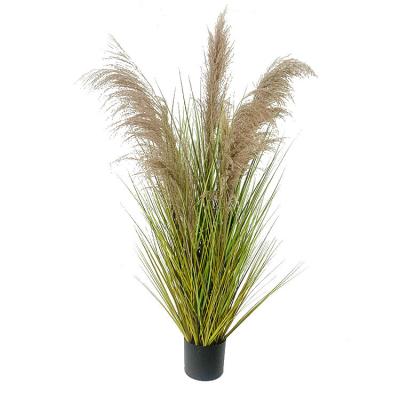 China High simulation flower home decorative flower tubular dry grass artificial tubular real flower dried flowers for sale