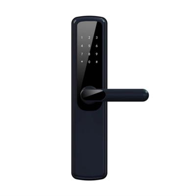 China 10m Remote Control Blue Tooth TTLOCK App Digital WIFI Card Handle Smart Door Lock With 6068 Mortise for sale