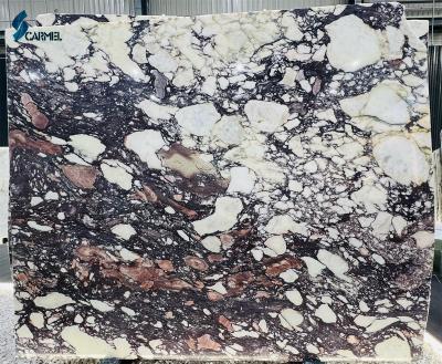 China Modern Purple Italy Viola White Calacatta Violet Arabescato Breccia Vein Marble Tiles Slabs Stones for sale