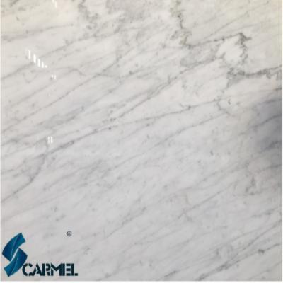 China Modern Italian Natural Carrara Marble, Bianco Carrara Marble, Flooring White Carrara Marble Stone Tiles for sale