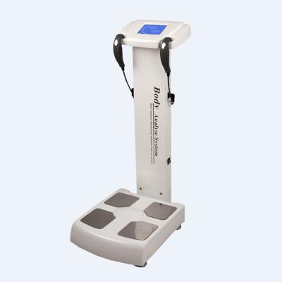 China Cellulite Reduction Body Analyzer With Printer Nice Color Printing Body Analyzer for sale