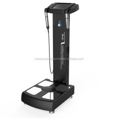 China For commercial & Home use professional body composition analyzer gs6.5c human body analysis for sale