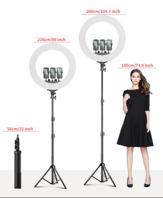 China Hot Selling Live Youtube Facebook Emitting 10 Inch Makeup Ring Light With Mobile Phone Stand Tripod Stand Led Circle Selfie Ring Light for sale