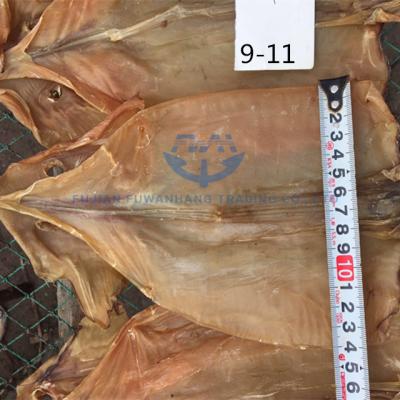 China NATURE Factory Sales Seafood Squid Fillet Squid Frozen Squid Roe Calamari Squid for sale