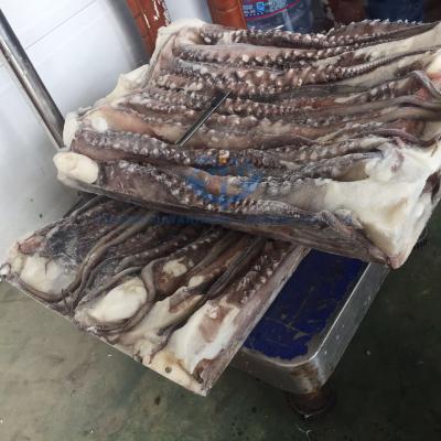 China Low Fat Frozen Giant Squid Squid Tentacles for sale