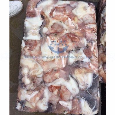 China NATURE Block Giant Squid Frozen Neck for sale