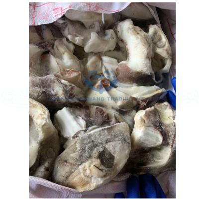 China New Export NATURE Calamari Squid Neck Meat Frozen Seafood Squid for sale