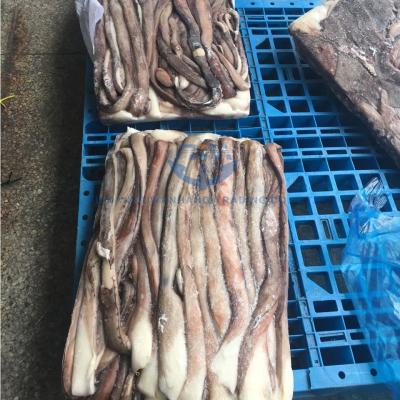 China Nutritious frozen giant squid tentacles from Peru for sale