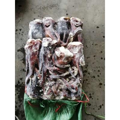 China New Low Fat Running Indian Ocean Squid Tentacle Squid Head for sale