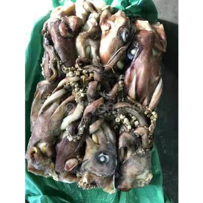 China New Frozen Squid Head Squid Low Fat Process Tentacle Fixed Weight Frozen Calamari for sale