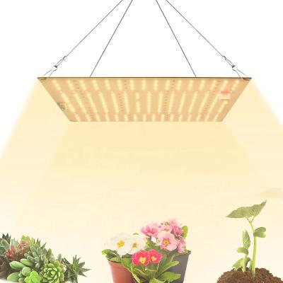 China Aluminum Halo Plant Grow Light Phytolamp For Plants Led Spectrum Lamp For Indoor Plant Seedling Flower Succulet Home Hydroponics for sale