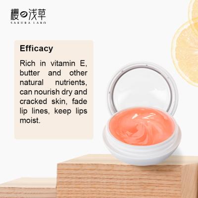 China Remove Dead Skin Natural Ingredients Moisturizing Moisturizing Shea Butter Extract Lip Care for sale