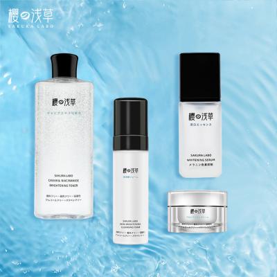 China Premium Skin Care Series Moisturizing Cream Whitening Rejuvenating Anti Aging Skin Care Set for sale