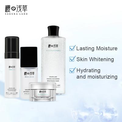 China Private Label Moisturizer Remove Acne Sun Age Marks Freckles Serum Skin Care Cream Facial Set for sale