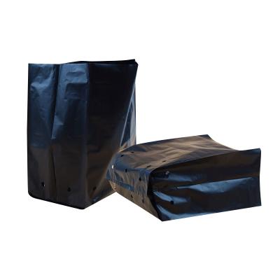 China Plastic Hydroponics Plastic Grow Bag for sale