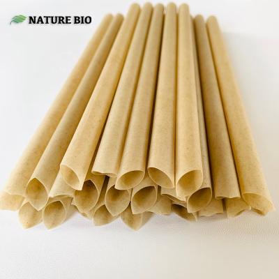 China Drinking / Restaurant / Party / Decoration / Bar Customized 100% Clear Disposable Sugar Cane Fiber Bio Degradable Straw Eco-Friendly Straw For Drinking Juice for sale