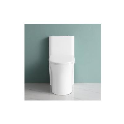 China Popular Double-flush ceramic water closetool white siphonic modern one piece toilet for sale