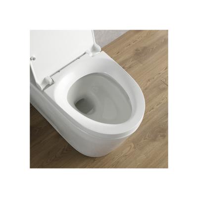 China Dual-Flush Hot selling american sanitary ware luxury super swirling one piece bathroom toilet for sale