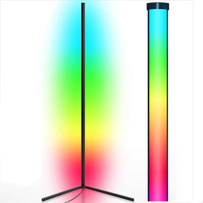 China Lighting Works Luxury Modern RGB Fashion Designer Standing LED Floor Lamp for sale