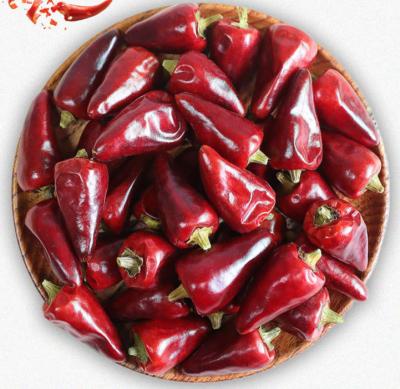 China Cook Customized High Quality  Dry Hot Red ZIDAN Chilli Pepper for sale