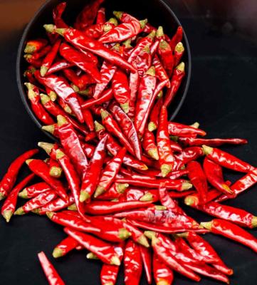 China Cook Customized High Quality  Dry Hot Red  XIAO MI LA Chilli Pepper for sale