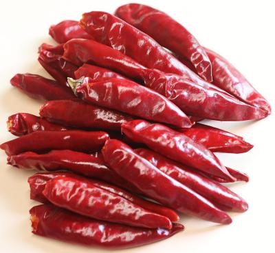 China Cook Customized High Quality  Dry super Hot Red   Chilli Pepper for sale