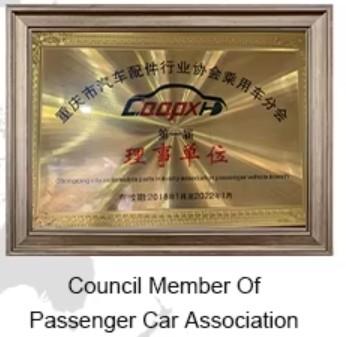 Council Members - Chongqing Yabaixiong Electronic Commerce Co., Ltd.