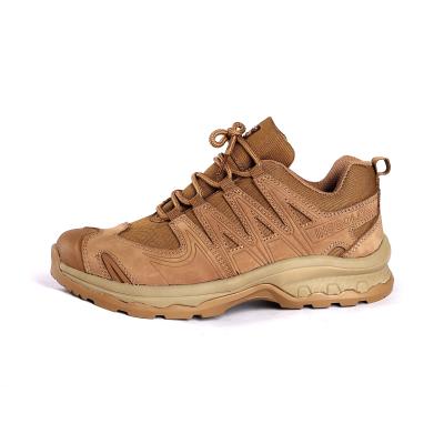 China Lace up Metal Eyelets Oxford Fabric Footwear with Durable PU Outsole Breathable Outdoor Shoes for sale