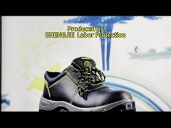 Black Steel Toe Leather Mesh Safety Shoes Lace up Waterproof / Slip Resistant with PU Sole