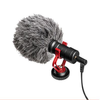 China Universal Visual Shock Mount Microphone With Handheld Shotgun Mic Compact On-Camera Rycote Lyre Shock Mount Windscreen Microphone for sale