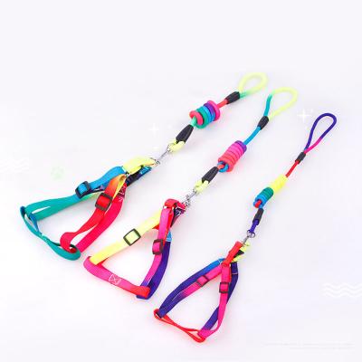 China High Quality Viable Dog Chain Leash Home Traction Harness Dog Rainbow Pull Rope Nylon Chest Harness Set For Dogs for sale