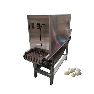 China Industrial Snack Factory Hot Sale Commercial Automatic Dry Garlic Skin Peeling Processing Plant for sale