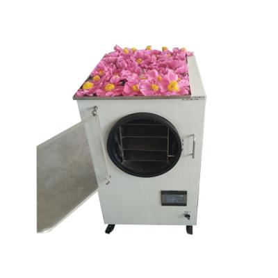 China food & Beverage plant HFD-1 small freeze drying machine for sale for sale