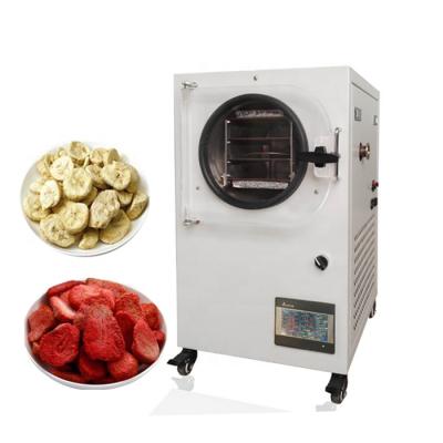 China food & Beverage Plant Easy Operation Small Freeze Dryer For Sale for sale