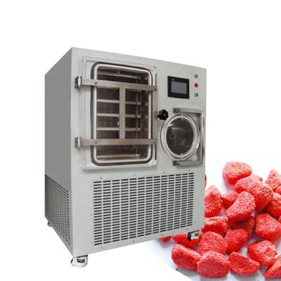 China food & Beverage Factory Factory Price High Quality Fruit Freeze Drying Machine for sale