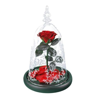 China Wholesale Stabilized Flower Plants Long Life Preserved Rose Flower Heads In Glass Dome For Home Decor 21*21*32 for sale