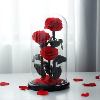 China Forever Rose Flower Preserved Eternal Eternal Wholesale Long Glass Dome Stem Rose Glass In Gift Box For Valentine 40 Three Dots The Little Prince for sale