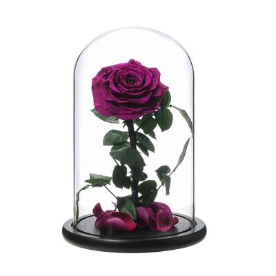 China 7-8 cm Perfect Valentines Mothers Day Birthday Gifts Stem Long Eternity Preserved Real Dried Roses in Glass Dome 12*20cm for sale