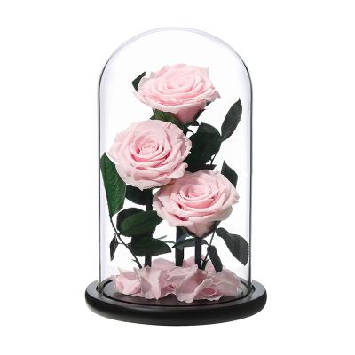 China Perfect Valentines Day Gifts Multiple Colors 3 Roses Preserved Eternal Real Rose Flower In Glass Dome 15*25cm for sale