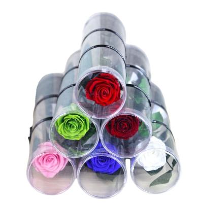 China real preserved flower everlasting single rose stem in pvc round tube D7.3*H31cm for sale