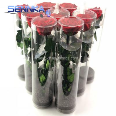 China Preserved Rose Cut Flowers With Long Stem Flesh Rose For Wedding Decoration dark red 30cm for sale