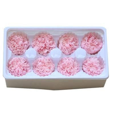 China Hot Selling Dried Stabilized Preserved Flower Carnation Flower Heads For Mothers Day Gift 4-5cm for sale