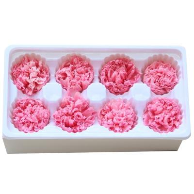 China Flower tending everlasting fresh cut preserved carnation head flowers 4-5cm for sale