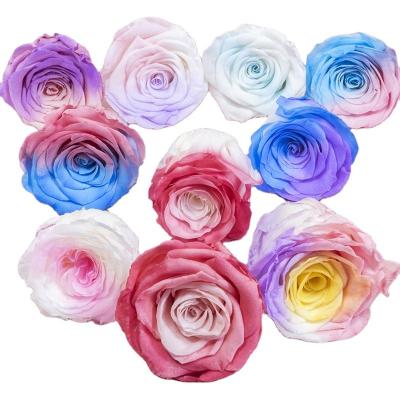 China Natural Fresh Rose 2022 New Design Rainbow Colored Material Preserved Dry Flower Roses 5-6CM Buds For Flower Arrangements for sale