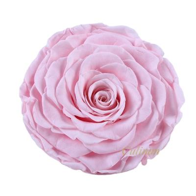 China Custom Luxury Gift Packaging 9-10Cm 9-10cm Preserved Hat Rose 24k Gold Layout Eternal Forever Preserved Roses Head for sale