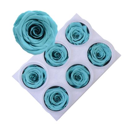 China Wholesale 5-6cm Eternal Flower Immortal Preserved Roses Head in Cup 5-6cm for sale