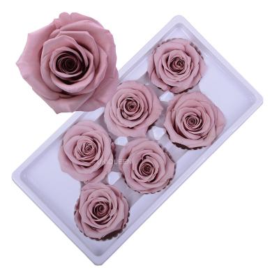 China Supply 5-6cm 5-6cm Single Preserved Flower Roses Flower Plant Wholesale Top Grade Preserved Flower Head for sale